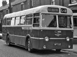 AEC Reliance MU3RV Roe 1955 года